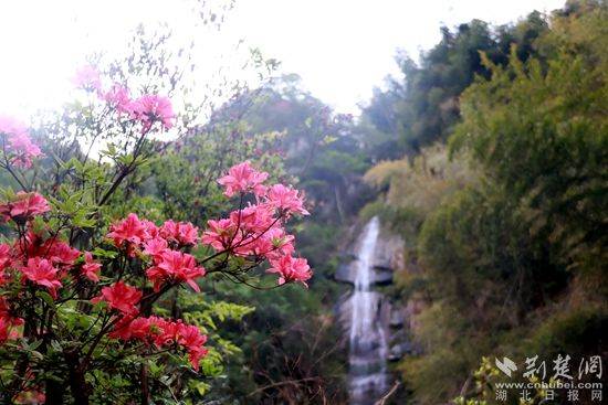 黃龍山頂，風(fēng)景如畫 黃錚 攝_副本.jpg.jpg